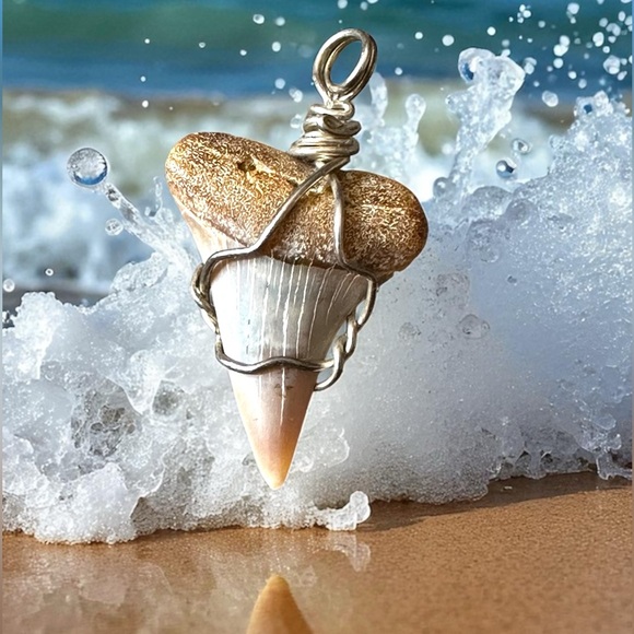 Great White Shark’s Tooth in .925 silver - Picture 1 of 6